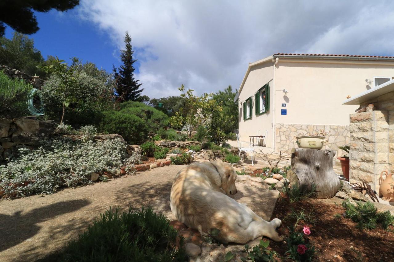 דירות רוקבאץ House Jana מראה חיצוני תמונה